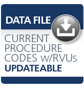 image of Current Procedure Codes with RVUs Subscription Data File